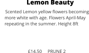 Lemon Beauty Scented Lemon yellow flowers becoming     more white with age. Flowers April-May     repeating in the summer. Height 8ft      £14.50     PRUNE 2