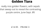 Golden Tiara really nice golden flowers, with sepals  that sweep out to reveal the contrasting purple centre. June-Sept. 8ft    £14.95    PRUNE 3