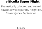 viticella Super Night Dramatically coloured and veined  flowers of violet purple. Height 8ft. Flowers June - September.    £16.95